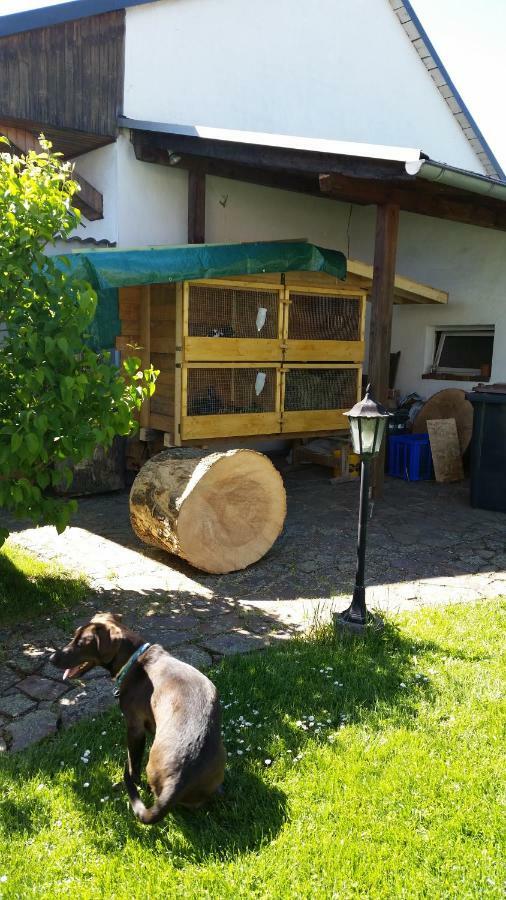 Ferienwohnung Rucksack-Bimbes Altendiez Dış mekan fotoğraf